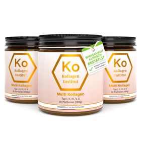 Kollagen Institut: Multi Kollagen Pulver - Typ I, II, III, V, X