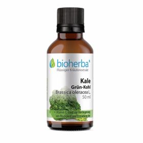 Bioherba Kale Grün-Kohl  Brassica oleracea L.  Tropfen  Tinktur Extrakt