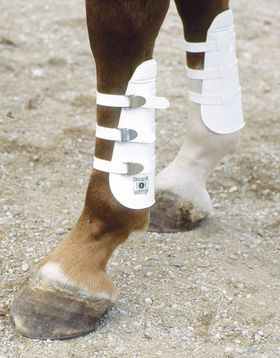 Gamaschen Universal  Sehnenschoner Universal