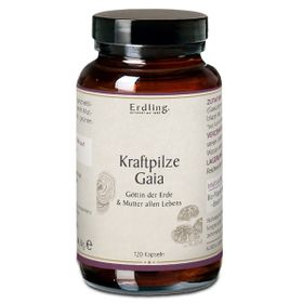 Erdling Kraftpilze Gaia