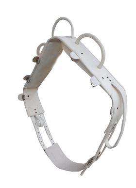 Voltigiergurt MASTER ECO Gurt zum Voltigieren aus Leder weiß Gr. WB  057/87 B