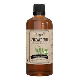Auwald - Spitzwegerich Tinktur (Extrakt, Tropfen, Auszug)