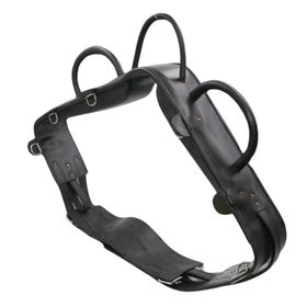 Voltigiergurt Cheval Pony mit runden Griffen und 2 Beinschlaufen, schwarz