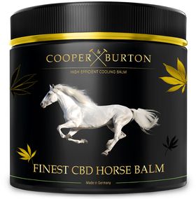 COOPER & BURTON CBD Hanf Creme mit THC-freiem CBD Öl – Massagebalsam für Muskeln und Gelenk