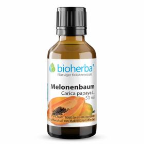 Bioherba Melonenbaum  Carica papaya L.  Tropfen  Tinktur Extrakt