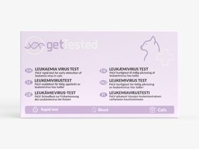 GetTested Leukämievirus-Test für Katzen