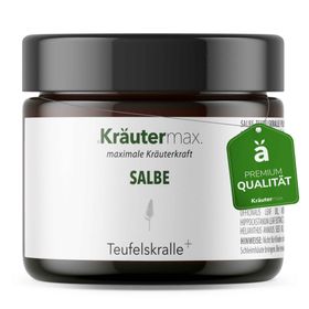 Kräutermax Salbe Teufelskralle plus Arnika