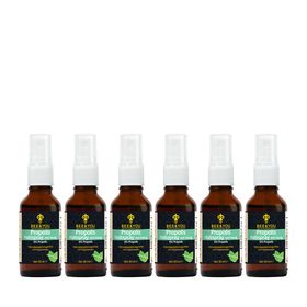 BEE&YOU Propolis Tinktur, Propolis Spray mit Menthol & Honig, Mundspray, Halsspray