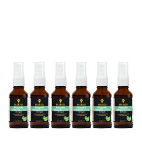 BEE&YOU Propolis Tinktur, Propolis Spray mit Menthol & Honig, Mundspray, Halsspray