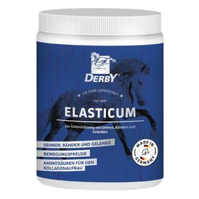 Derby Elasticum