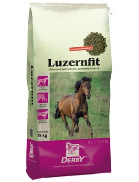 DERBY Luzernfit pell.