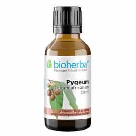 Bioherba Pygeum  Pygeum africanum  Tropfen  Tinktur Extrakt