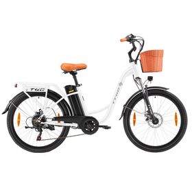 TTGO YY-26ST Elektrofahrrad mit Korb und 36V 14,5Ah Akku