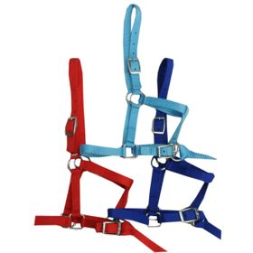 AMKA Halfter mit kurzer Führleine