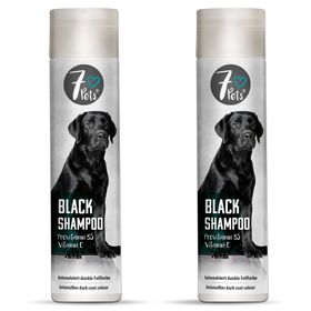 SILBERKRAFT Black Shampoo