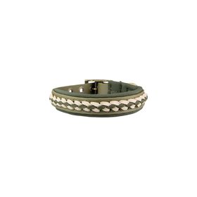 Schecker Trendfährte - Hundehalsband BioThane® - Handmade