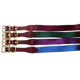 Weaver Hundehalsband Hunt & Sport Plus Premium Geschirrleder, 2,5 cm breit
