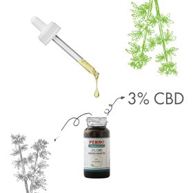 PERRO CBD Hanf Kokos Öl