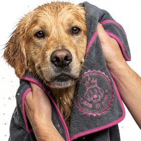 HUND IST KÖNIG® Hundehandtuch extra saugfähig | Hunde Handtuch aus Mikrofaser mit 4 Eingriffen