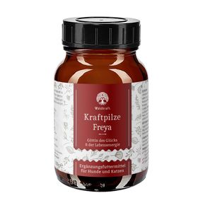 Waldkraft Kraftpilze Freya Vitalpilz Synergetikum