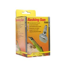Lucky Reptile - Basking Sun