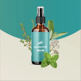 Hundpur® Zähne mit Dentalkomplex