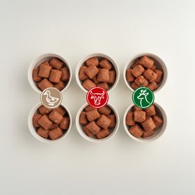 Leo Barf Probierpaket Vollwert-Menüs – Rind · Ente · Wild