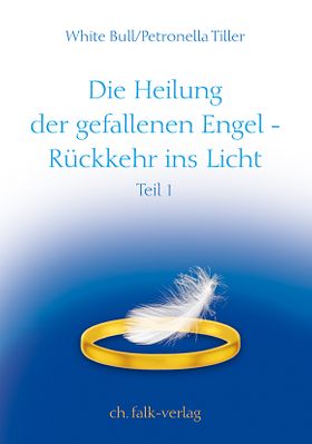 Die Heilung der gefallenen Engel – Rückkehr ins Licht