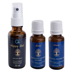 Qi - Health Blase & Nieren