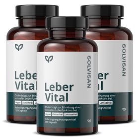 SOLVISAN® Leber Vital | Mariendistel, Artischocke, Löwenzahn