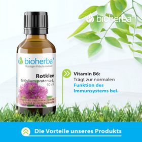 Bioherba Rotklee Trifolium pratense L.  Tropfen  Tinktur Extrakt