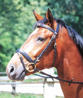 AMKA Heaven Bit Trensenzaum