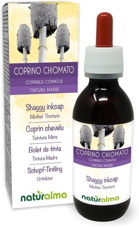 Naturalma Schopf-Tintling Coprinus comatus  Flüssig Extrakt