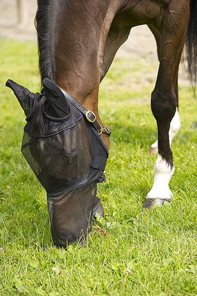 Equi-Theme Fliegenmaske mit Ohren und Maulteil schwarz