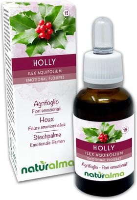 Naturalma Stechpalme Ilex aquifolium Tropfen