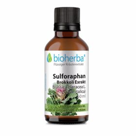 Bioherba Sulforaphan Brokkoli Exrakt Tropfen  Tinktur Extrakt