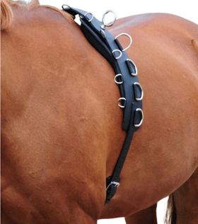 AMKA PRO Longiergurt