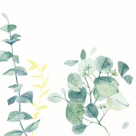 12x Dunisoft-Servietten 40 x 40  1/4 Falz Spire