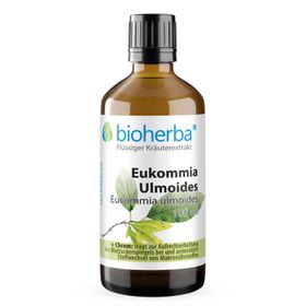 Bioherba Eukommia Ulmoides Tropfen Tinktur