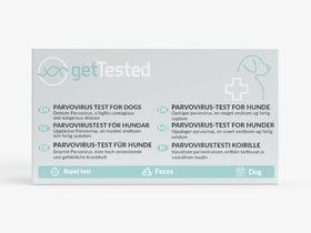 GetTested Parvovirus-Test für Hunde