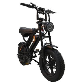 BAOLUJIE F2 E-Bike mit Vollfederung, 48 V 13 Ah, 16" x 4,0"