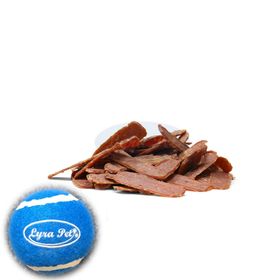 Lyra Pet® Entenmedaillons + Tennis Ball