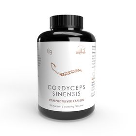 Pilze Wohlrab - Cordyceps sinensis BIO Pulverkapseln