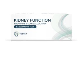 The Tester - Nierenfunktion Labortest