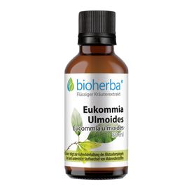 Bioherba Eukommia Ulmoides Tropfen  Tinktur Extrakt