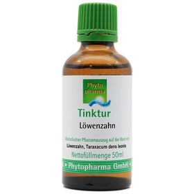 Phytotherapie Urtinktur Löwenzahn