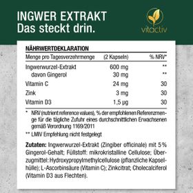 Vitactiv - INGWER Extrakt