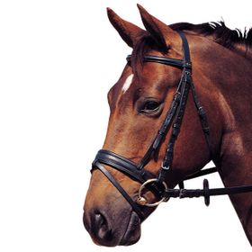 Hubertus Zaum Classic