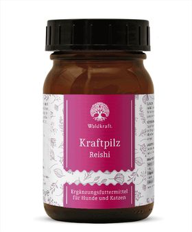 Waldkraft Kraftpilz Reishi – Vitalpilzpulver