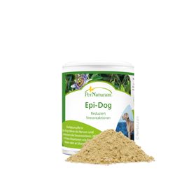 Pernaturam Epi